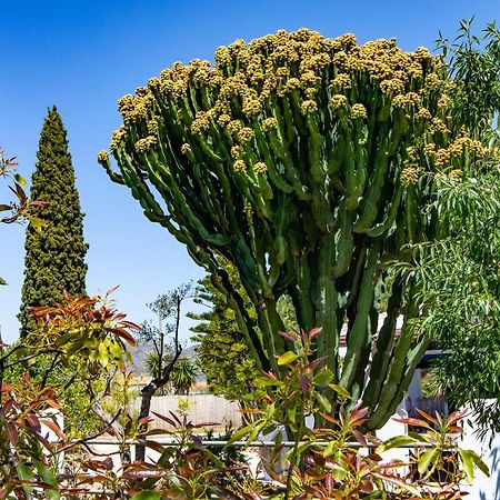 The Palms Boutique Resort Malaga - Adults Only Альхаурин-де-ла-Торре Экстерьер фото