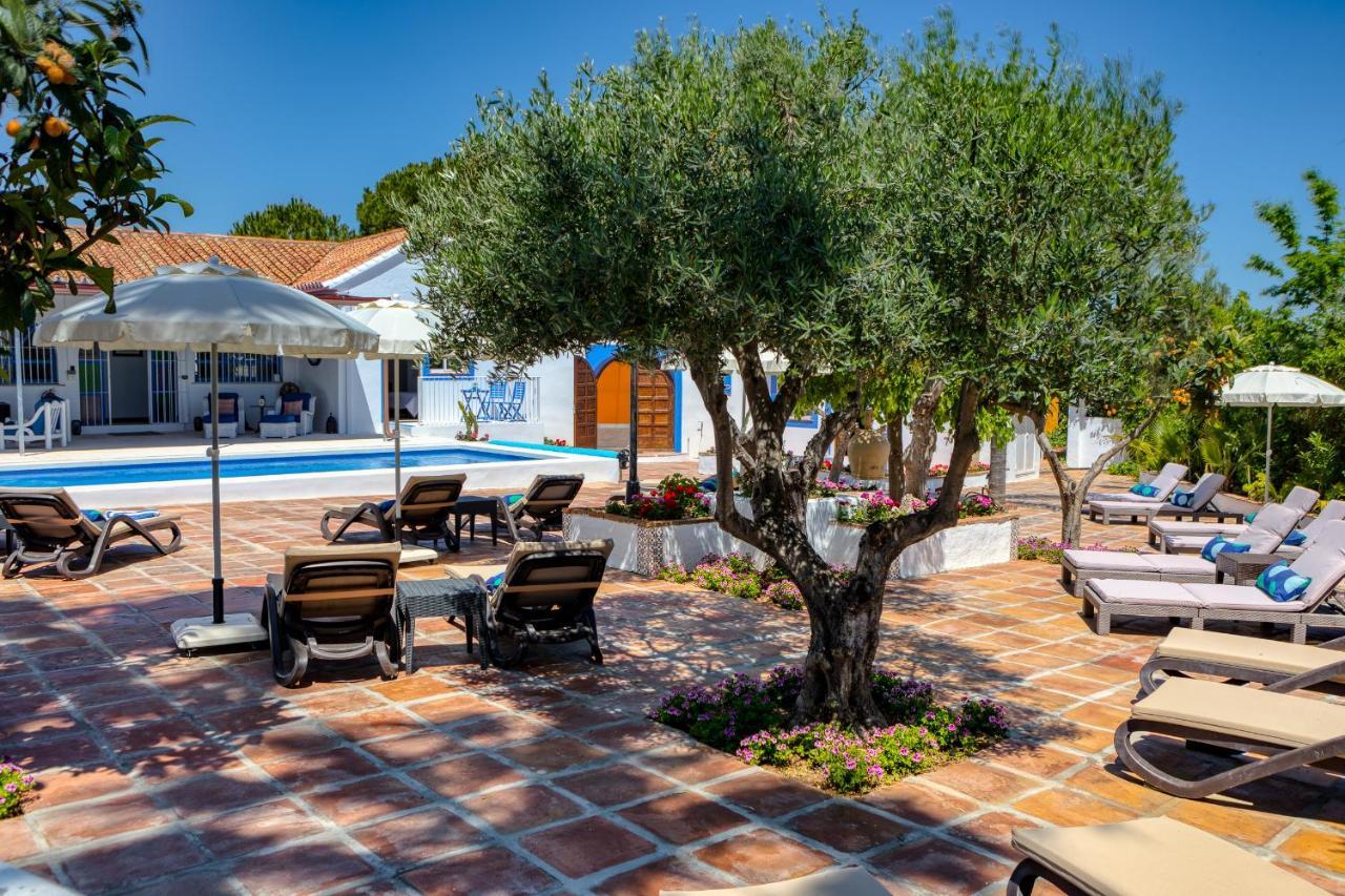 The Palms Boutique Resort Malaga - Adults Only Альхаурин-де-ла-Торре Экстерьер фото